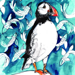 Puffin with Koi illustration